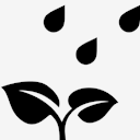 plant,under,rain