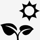 plant,under,sun