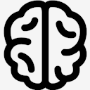 brain