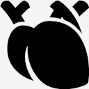 medical,heart