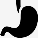stomach
