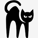 black,cat