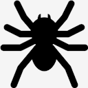 spider