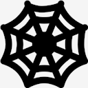 spiderweb