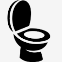 toilet,pan