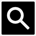 google,web,search,copyrighted