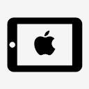 iPad,mini,copyrighted