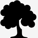 deciduous,tree