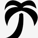 palm,tree