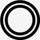 plasmid