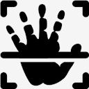 hand,palm,scan