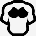 chest