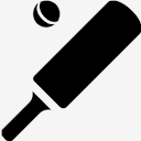 cricket