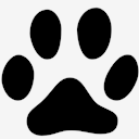 cat,track