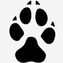 dog,track