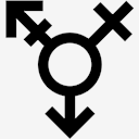 genderqueer