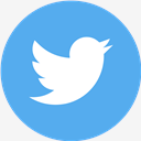 twitter,flat