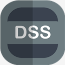 dss