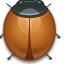 bug,ladybug