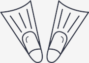 flippers