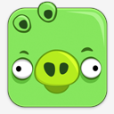 Angry,Birds,Pig