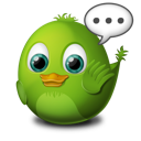 bird