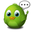 bird
