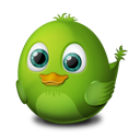 bird