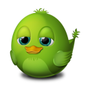 bird,Idle