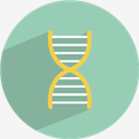 dna