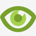 eye
