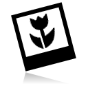 file,picture