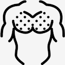 chest