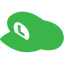 hat,luigi