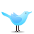 animal,bird,standing,twitter