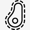 Bacteria