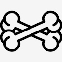 Bones