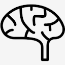 Brain