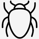 Bug