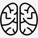 Cranium