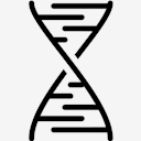 DNA