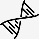DNA,Helix