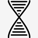 DNA