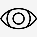 Eye,Visible