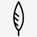 Feather