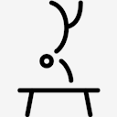 Gymnastics