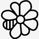 ICQ