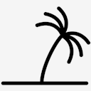 Palm,Tree