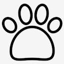 Paw