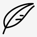 Quill